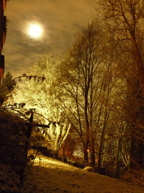  - 2021 - 04 - 2022 - 00 - Iarna