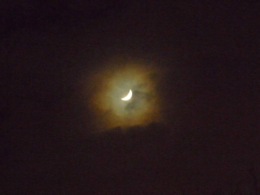 Ninsoare la clar de luna! - 2021 - 04 - 2022 - 00 - Iarna