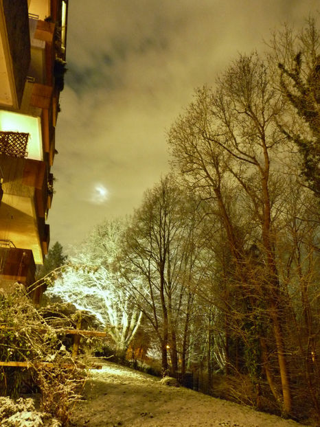  - 2021 - 04 - 2022 - 00 - Iarna