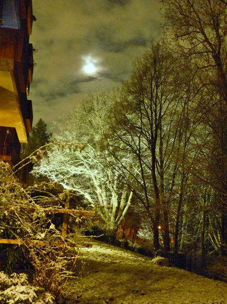 07.01.2021 - 2021 - 04 - 2022 - 00 - Iarna