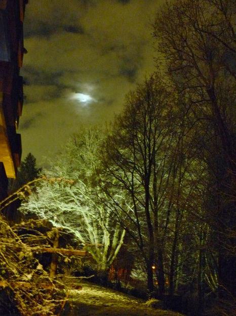  - 2021 - 04 - 2022 - 00 - Iarna