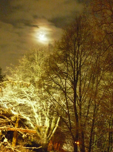  - 2021 - 04 - 2022 - 00 - Iarna