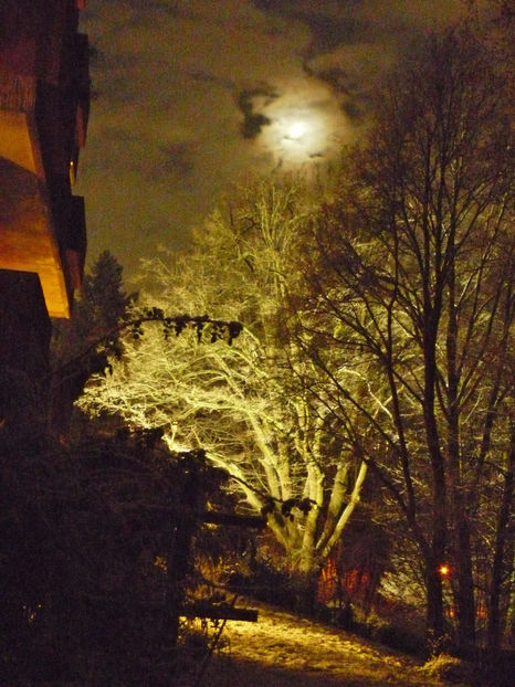  - 2021 - 04 - 2022 - 00 - Iarna