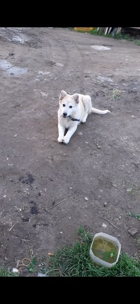 Screenshot_20220109-224725_Gallery - X_Welcome back_X