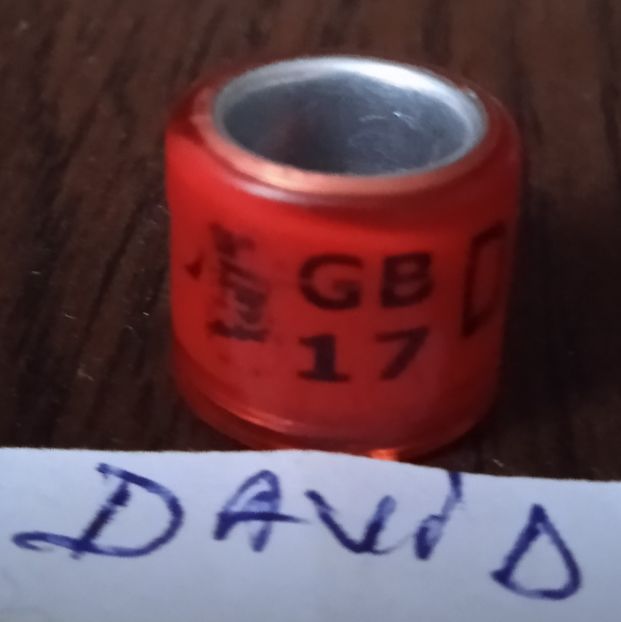 2017-GB - Marea Britanie