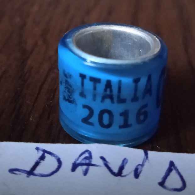 2016 -Italia - Italia