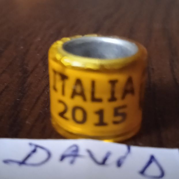 2015 -Italia - Italia