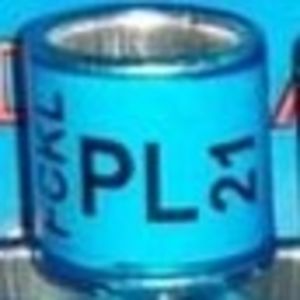 2021-Polonia - Polonia