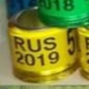 2019-Rusia - Rusia