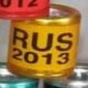 2013-Rusia - Rusia