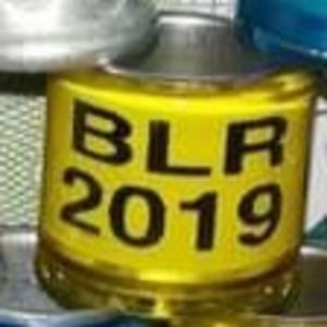 2019-BELARUS - Belarus