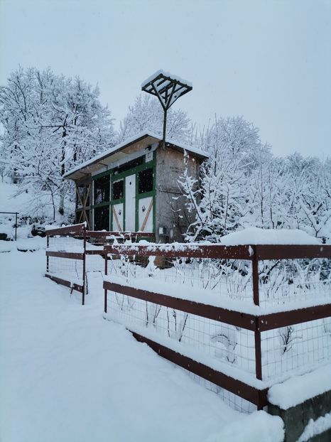  - Voliera de la țară!