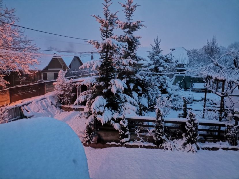  - Voliera de la țară!