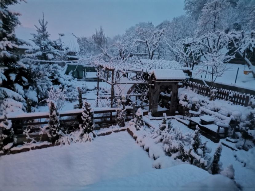  - Voliera de la țară!