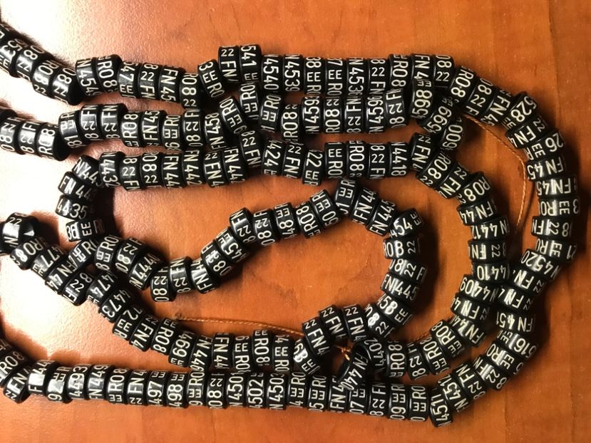 F4495CEF-DF6F-4BA3-A805-FA35AA24D7CD - 00 Inele Ornament EEFN 2022