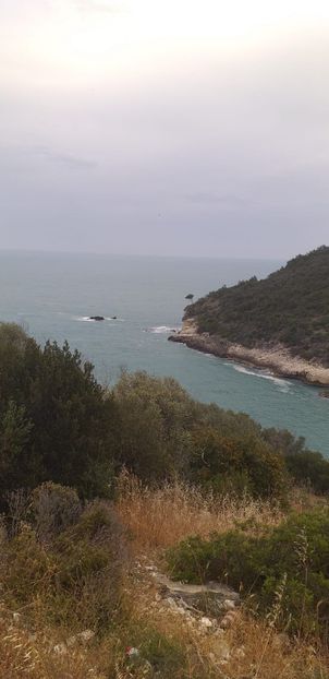 IMG-20210523-WA0002 - X_Welcome back_X