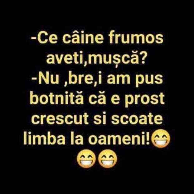  - Divertisment 6