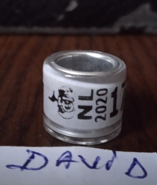 2020-Olanda - Olanda