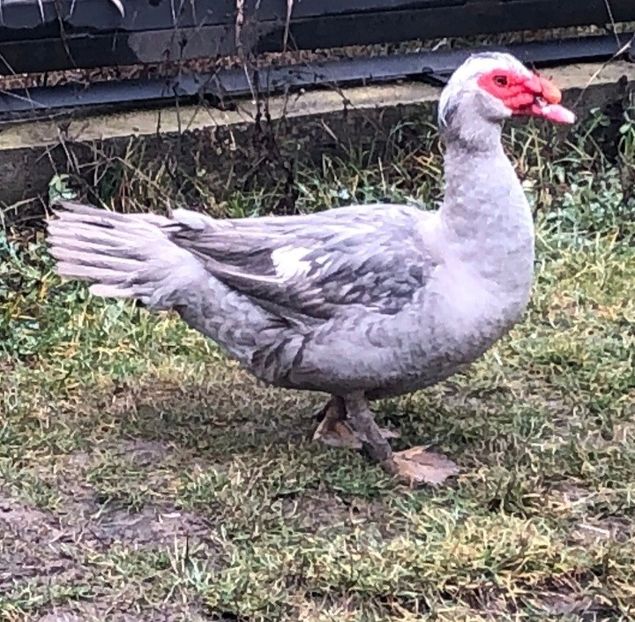 Screenshot_20220109-125019_WhatsApp - 0001 matca 2022 lot 2