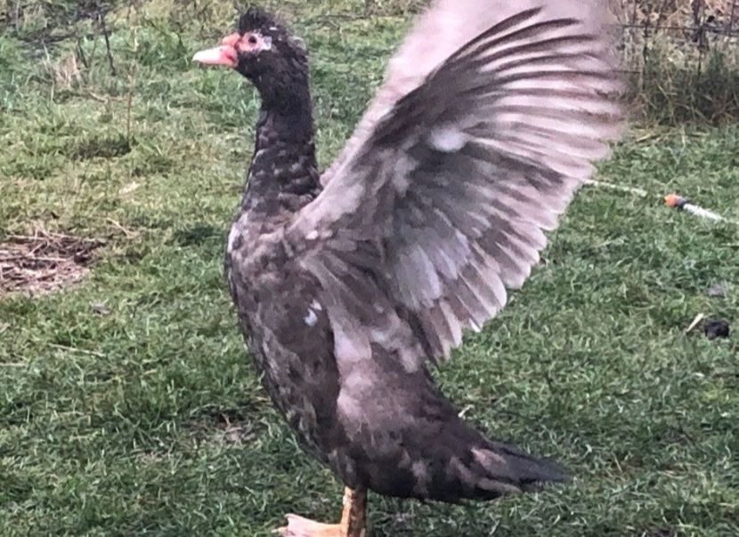 Screenshot_20211230-185606_WhatsApp - 0001 matca 2022 lot 3