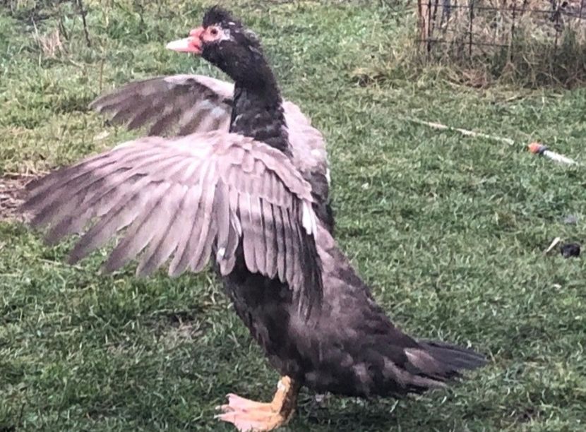 Screenshot_20211230-185611_WhatsApp - 0001 matca 2022 lot 3