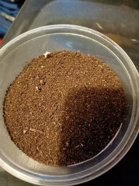 Img.2022.01.11- - A -Achimenes