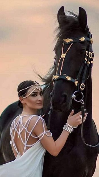  - Cai animale nobile