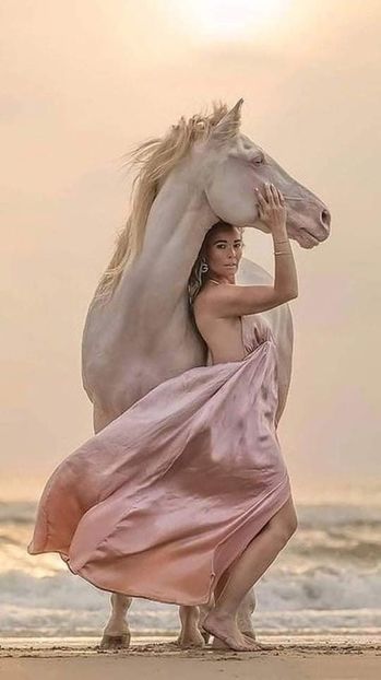  - Cai animale nobile