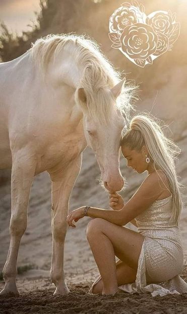  - Cai animale nobile