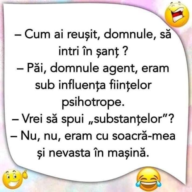  - Divertisment 6