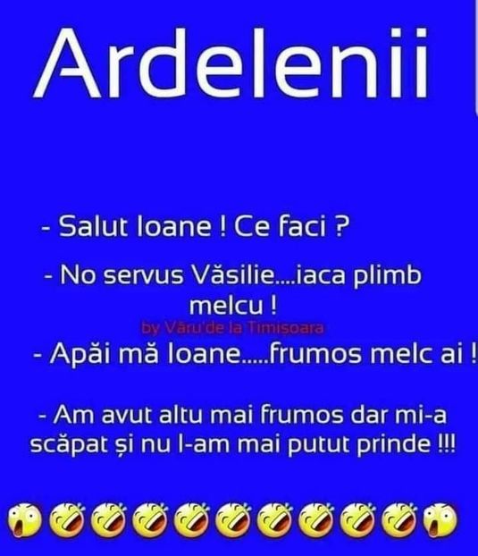  - Divertisment 6