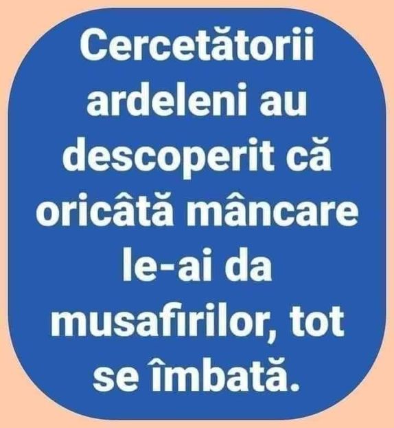  - Divertisment 6