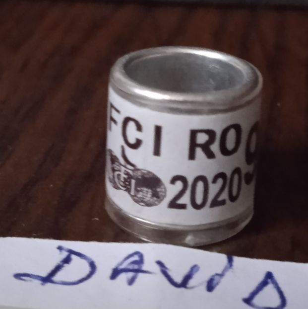 2020-Romania - Romania