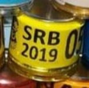 2019-Serbia - Serbia