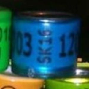 2015-Slovacia - Slovacia