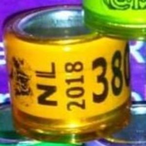 2018-Olanda - Olanda