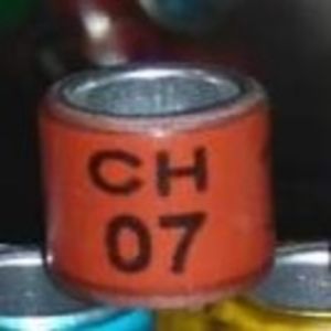 2007-ELVETIA - Elvetia