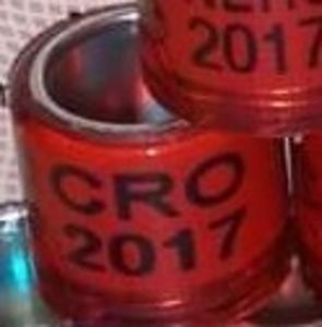 2017-CROATIA - Croatia