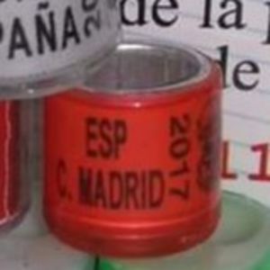 2017-Spania - Spania
