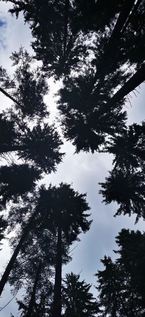 IMG-20210819-WA0108 - Concediu 2021 Durau si Iasi