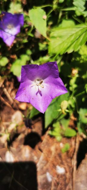 IMG-20210819-WA0145 - Concediu 2021 Durau si Iasi