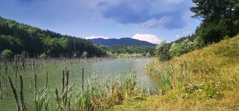 IMG-20210819-WA0062 - Concediu 2021 Durau si Iasi