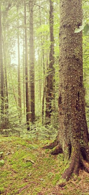 IMG-20210819-WA0111 - Concediu 2021 Durau si Iasi