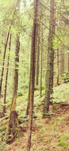 IMG-20210819-WA0112 - Concediu 2021 Durau si Iasi