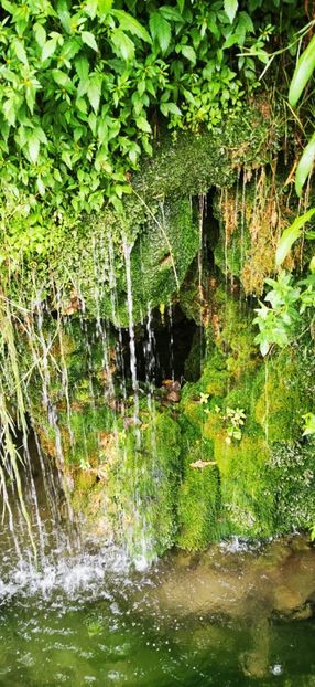 IMG-20210819-WA0088 - Concediu 2021 Durau si Iasi