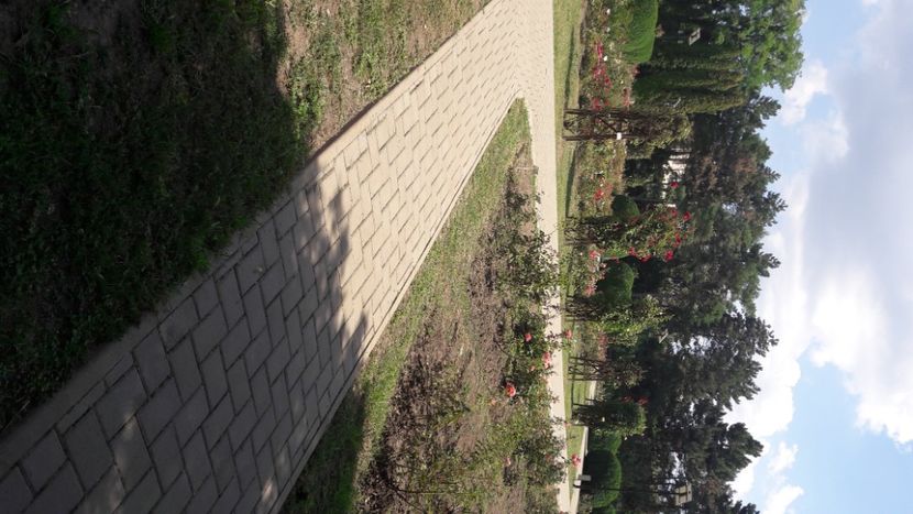  - Concediu 2021 Durau si Iasi