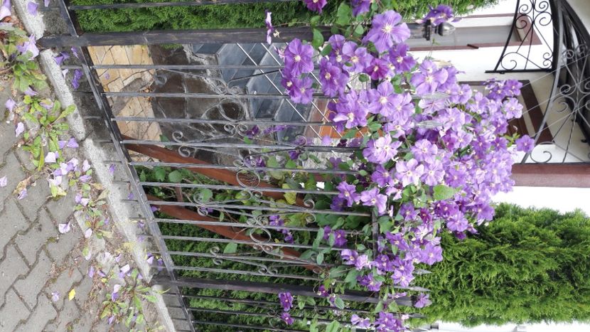  - Concediu 2021 Durau si Iasi