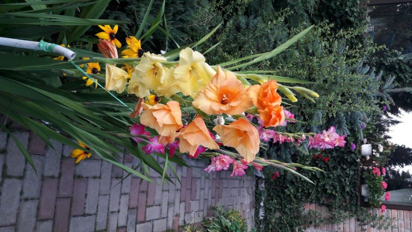  - Concediu 2021 Durau si Iasi