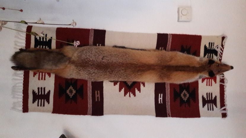  - Concediu 2021 Durau si Iasi