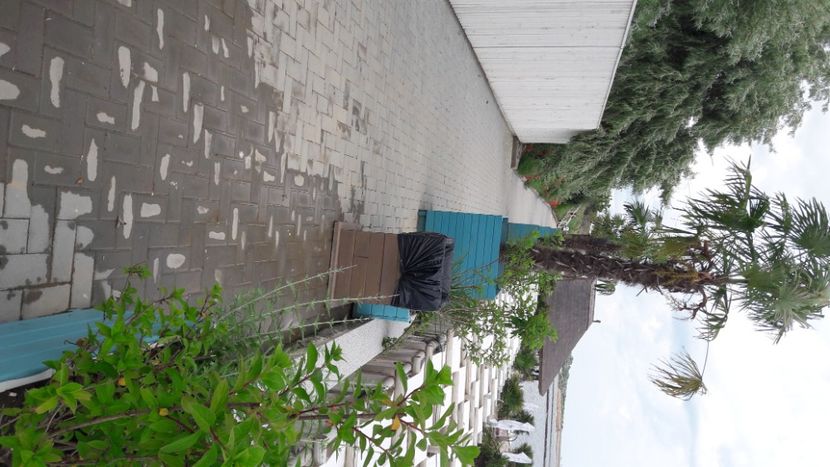  - WK iunie 2021 Olimp